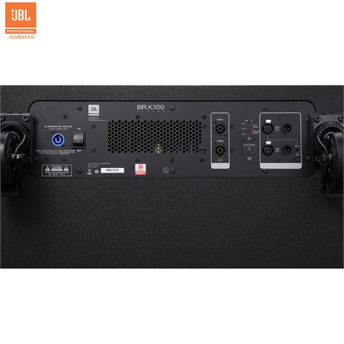 Loa JBL BRX325SP 10